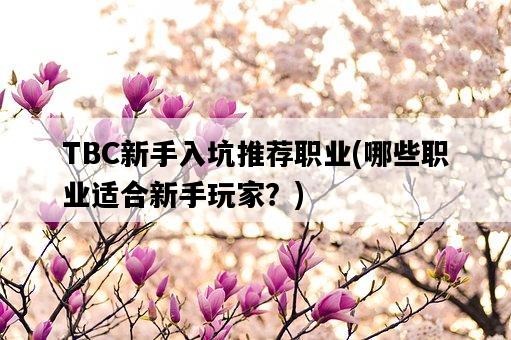 TBC新手入坑推薦職業，哪些職業適合新手玩家？-圖1