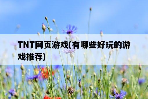 TNT網頁游戲，有哪些好玩的游戲推薦-圖1