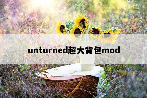 unturned超大背包mod-圖1
