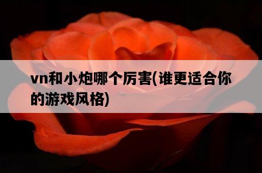 vn和小炮哪個厲害，誰更適合你的游戲風格-圖1
