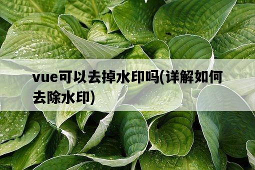 vue可以去掉水印嗎，詳解如何去除水印-圖1
