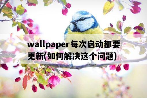 wallpaper每次啟動都要更新，如何解決這個問題-圖1