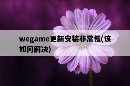 wegame更新安裝非常慢，該如何解決-圖1