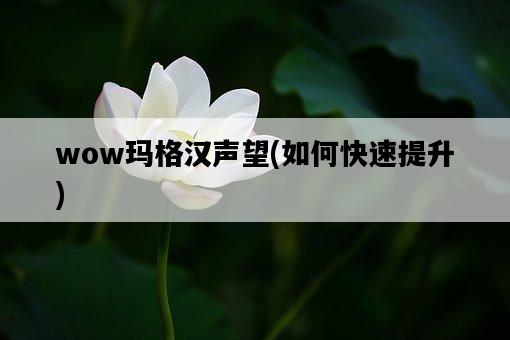 wow瑪格漢聲望，如何快速提升-圖1