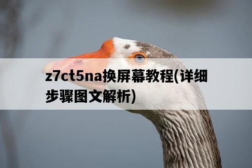 z7ct5na換屏幕教程，詳細步驟圖文解析-圖1