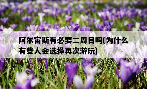 阿爾宙斯有必要二周目嗎，為什么有些人會選擇再次游玩-圖1