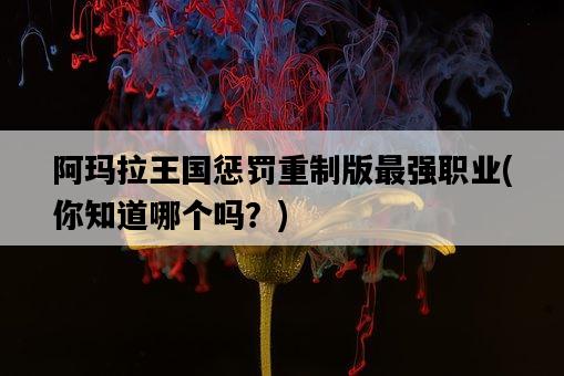 阿瑪拉王國懲罰重制版最強職業，你知道哪個嗎？-圖1
