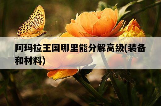 阿瑪拉王國哪里能分解高級，裝備和材料-圖1