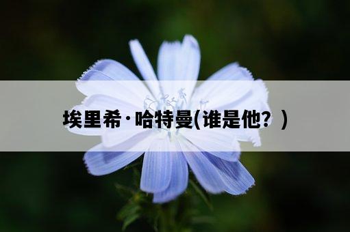 埃里希·哈特曼，誰是他？-圖1