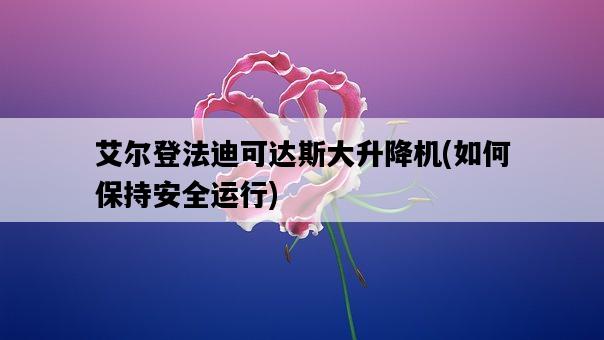 艾爾登法迪可達斯大升降機，如何保持安全運行-圖1