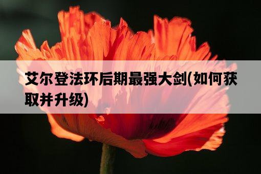 艾爾登法環后期最強大劍，如何獲取并升級-圖1