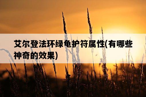 艾爾登法環綠龜護符屬性，有哪些神奇的效果-圖1