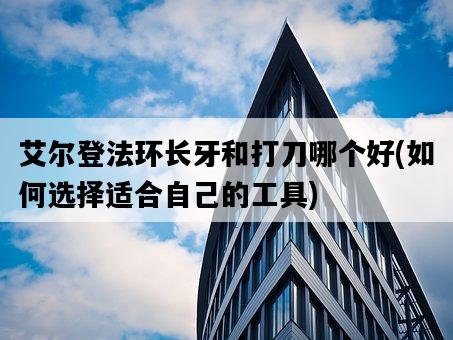 艾爾登法環長牙和打刀哪個好,如何選擇適合自己的工具-圖1 艾爾登法環長牙和打刀哪個好,如何選擇適合自己的工具-圖1