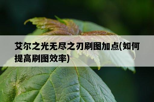 艾爾之光無盡之刃刷圖加點，如何提高刷圖效率-圖1