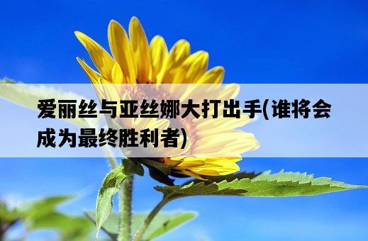 愛麗絲與亞絲娜大打出手，誰將會成為最終勝利者-圖1
