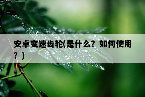 安卓變速齒輪,是什么?如何使用?-圖1 安卓變速齒輪,是什么?如何使用?-圖1