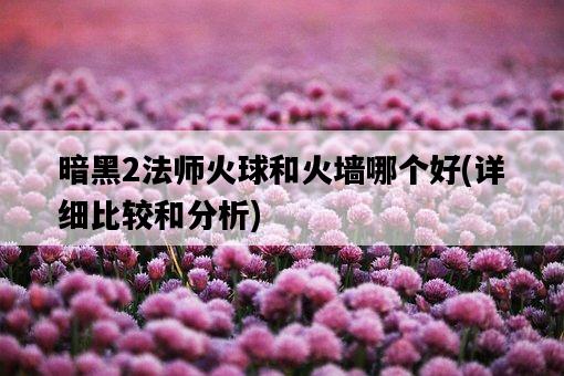 暗黑2法師火球和火墻哪個好，詳細比較和分析-圖1