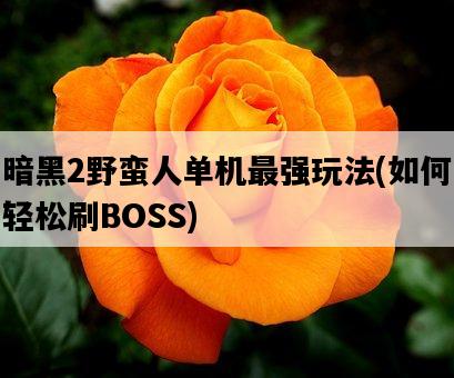 暗黑2野蠻人單機最強玩法，如何輕松刷BOSS-圖1