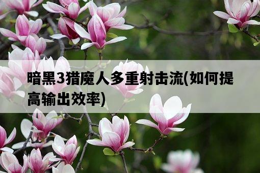 暗黑3獵魔人多重射擊流，如何提高輸出效率-圖1