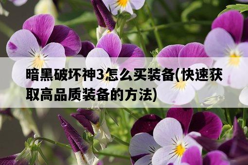 暗黑破壞神3怎么買裝備，快速獲取高品質裝備的方法-圖1