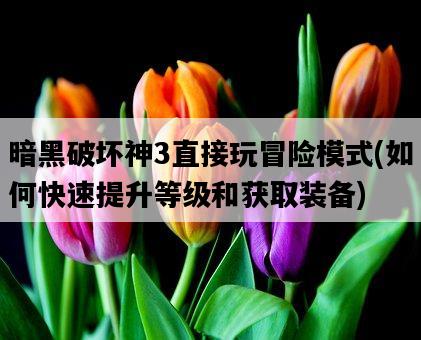 暗黑破壞神3直接玩冒險模式，如何快速提升等級和獲取裝備-圖1