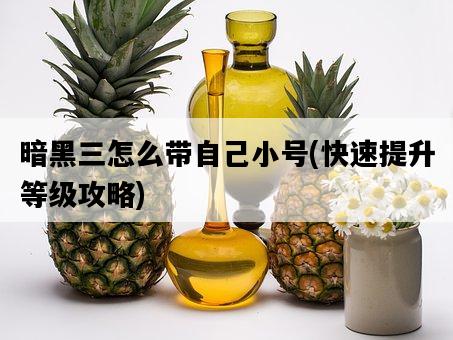 暗黑三怎么帶自己小號，快速提升等級攻略-圖1