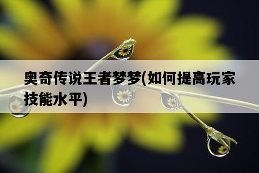 奧奇傳說王者夢夢，如何提高玩家技能水平-圖1
