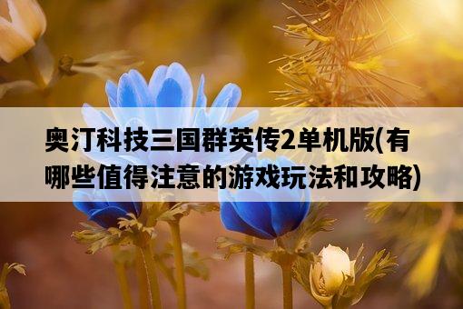 奧汀科技三國群英傳2單機版,有哪些值得注意的游戲玩法和攻略-圖1 奧汀科技三國群英傳2單機版,有哪些值得注意的游戲玩法和攻略-圖1