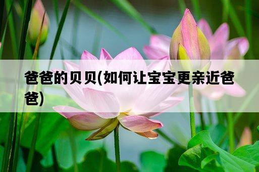 爸爸的貝貝，如何讓寶寶更親近爸爸-圖1