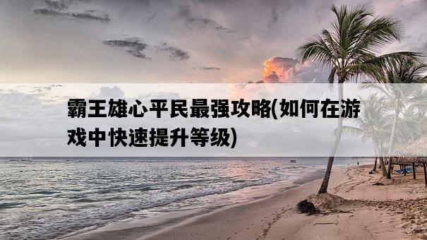 霸王雄心平民最強攻略，如何在游戲中快速提升等級-圖1