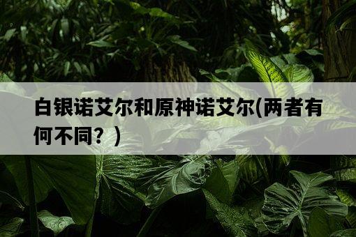 白銀諾艾爾和原神諾艾爾，兩者有何不同？-圖1