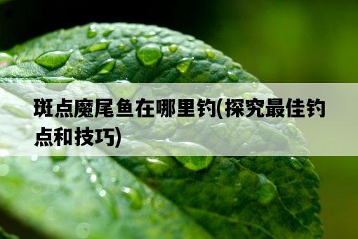 斑點魔尾魚在哪里釣，探究最佳釣點和技巧-圖1
