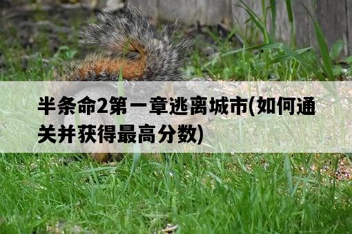 半條命2第一章逃離城市，如何通關并獲得最高分數-圖1