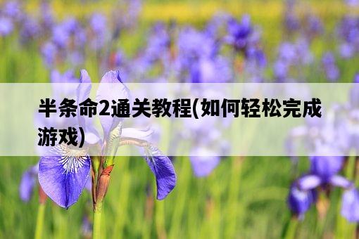 半條命2通關教程，如何輕松完成游戲-圖1