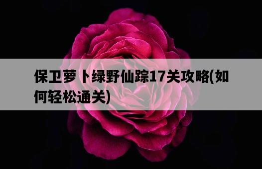 保衛蘿卜綠野仙蹤17關攻略,如何輕松通關-圖1 保衛蘿卜綠野仙蹤17關攻略,如何輕松通關-圖1