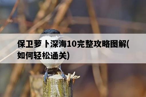 保衛蘿卜深海10完整攻略圖解，如何輕松通關-圖1