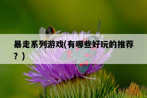 暴走系列游戲，有哪些好玩的推薦？-圖1