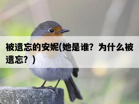 被遺忘的安妮，她是誰？為什么被遺忘？-圖1