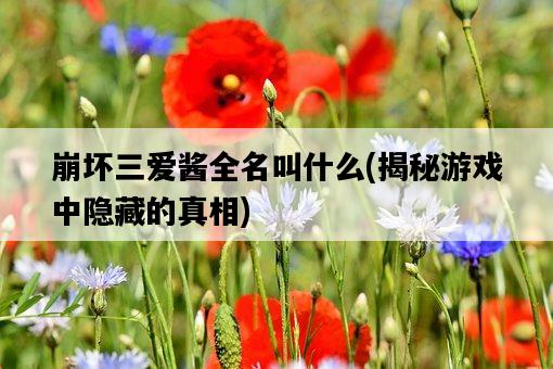 崩壞三愛醬全名叫什么，揭秘游戲中隱藏的真相-圖1