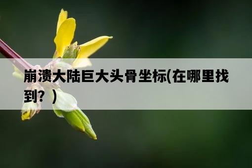 崩潰大陸巨大頭骨坐標，在哪里找到？-圖1