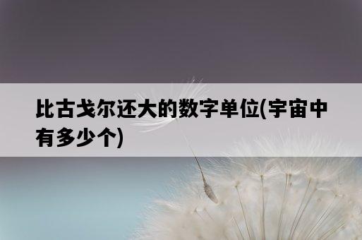 比古戈爾還大的數字單位，宇宙中有多少個-圖1