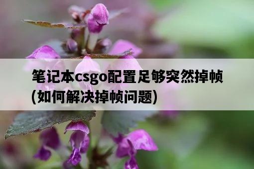 筆記本csgo配置足夠突然掉幀，如何解決掉幀問題-圖1