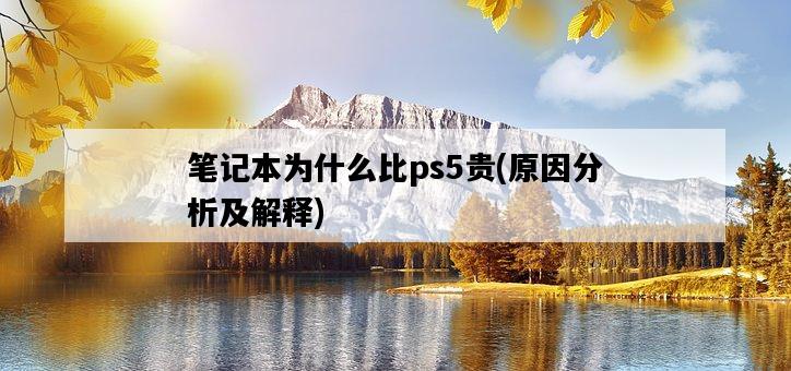 筆記本為什么比ps5貴，原因分析及解釋-圖1