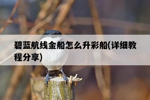 碧藍航線金船怎么升彩船，詳細教程分享-圖1