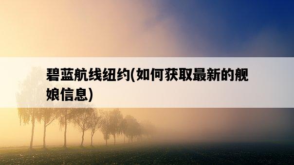 碧藍航線紐約，如何獲取最新的艦娘信息-圖1