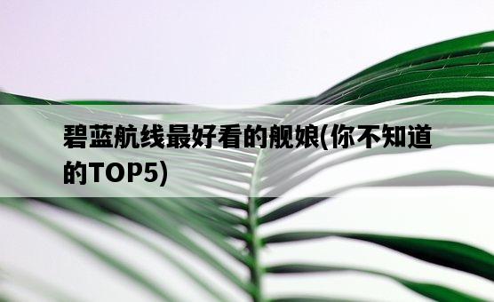 碧藍航線最好看的艦娘，你不知道的TOP5-圖1