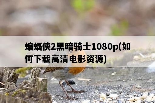 蝙蝠俠2黑暗騎士1080p，如何下載高清電影資源-圖1