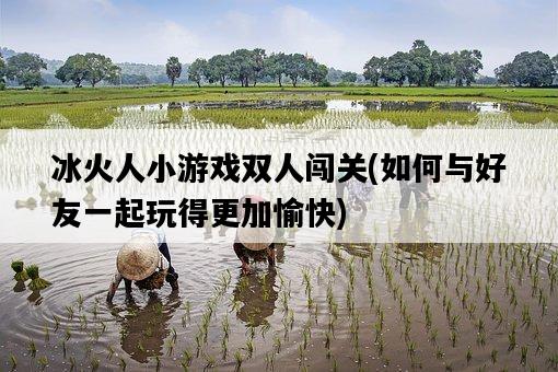 冰火人小游戲雙人闖關，如何與好友一起玩得更加愉快-圖1