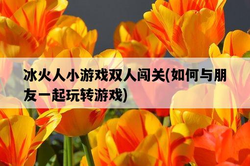 冰火人小游戲雙人闖關,如何與朋友一起玩轉游戲-圖1 冰火人小游戲雙人闖關,如何與朋友一起玩轉游戲-圖1