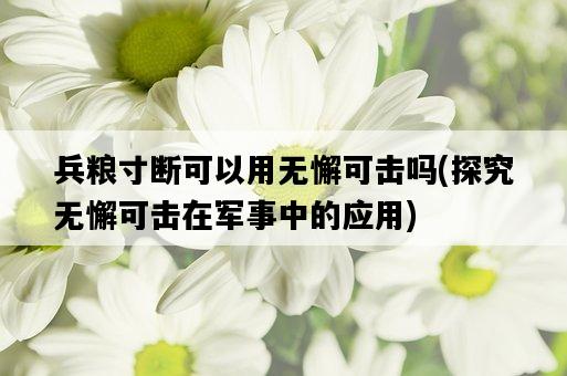 兵糧寸斷可以用無懈可擊嗎，探究無懈可擊在軍事中的應用-圖1